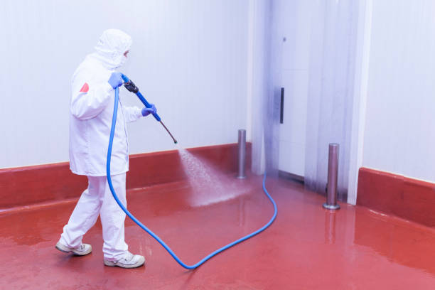 Best Sidewalk and Walkway Cleaning  in Fountainebleau, FL