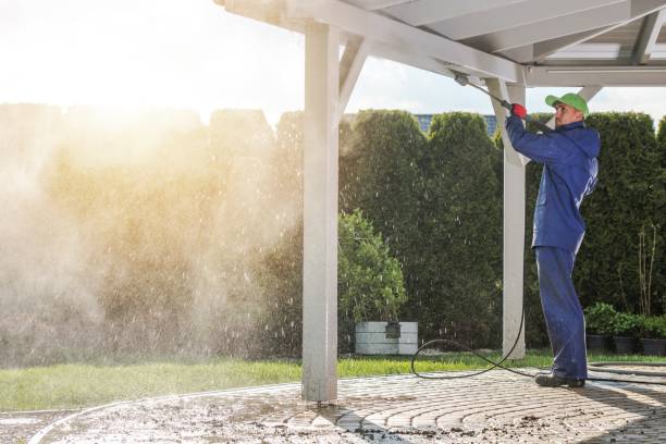 Best Spring Cleaning  in Fountainebleau, FL