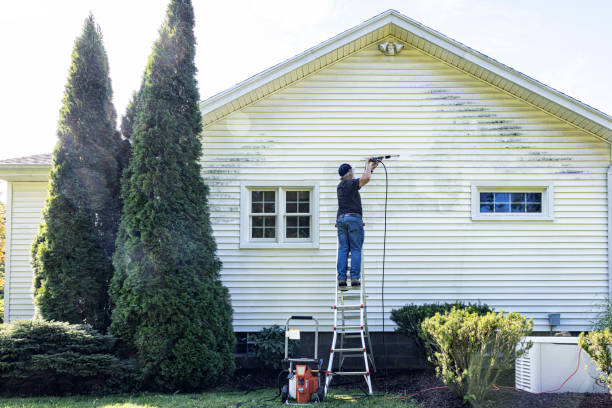 Best Gutter Cleaning  in Fountainebleau, FL