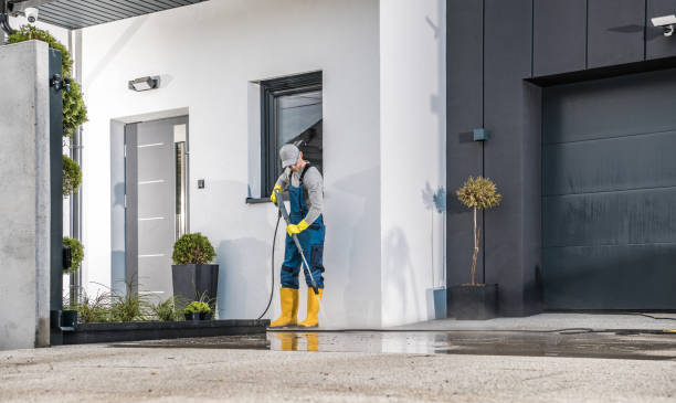 Best Building Exterior Washing  in Fountainebleau, FL